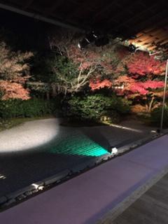 紅葉