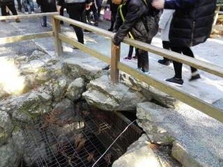 伊勢参拝７